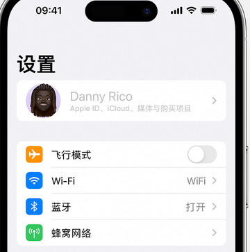 浮山appleID维修服务iPhone设置中Apple ID显示为灰色无法使用 