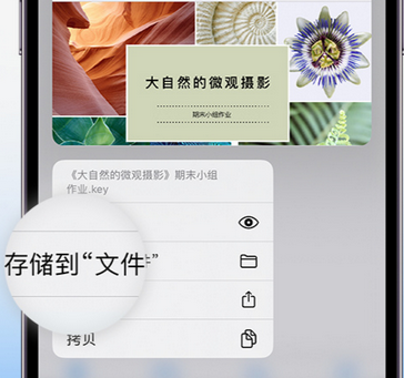 浮山apple维修中心分享iPhone文件应用中存储和找到下载文件