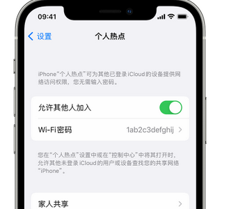 浮山apple服务站点分享iPhone上个人热点丢失了怎么办