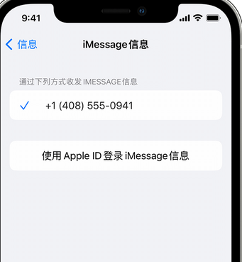 浮山apple维修iPhone上无法正常发送iMessage信息 