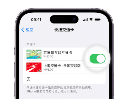 浮山apple维修点分享iPhone上更换Apple Pay快捷交通卡手绘卡面 