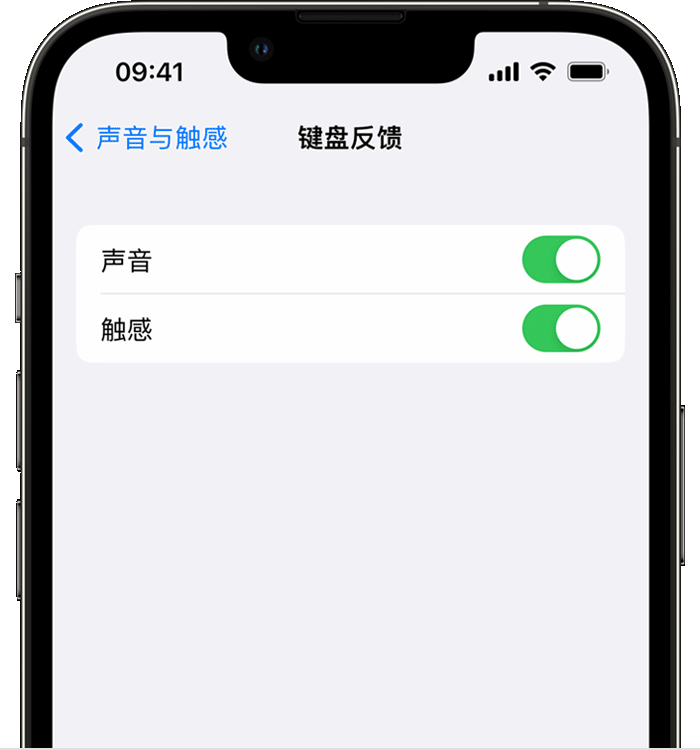 浮山苹果14维修店分享如何在 iPhone 14 机型中使用触感键盘 