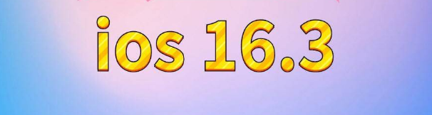 浮山苹果服务网点分享苹果iOS16.3升级反馈汇总 