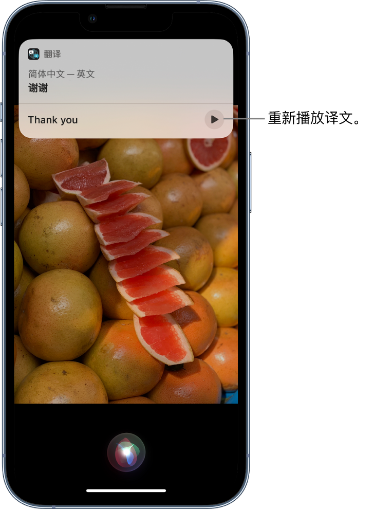 浮山苹果14维修分享 iPhone 14 机型中使用 Siri：了解 Siri 能帮你做什么 