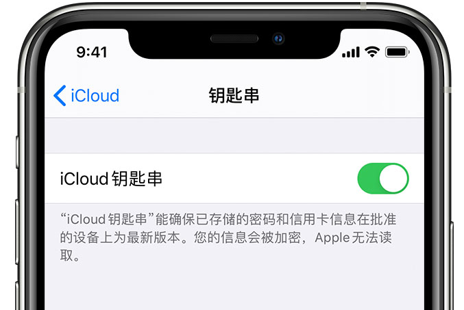 浮山苹果手机维修分享在 iPhone 上开启 iCloud 钥匙串之后会储存哪些信息 