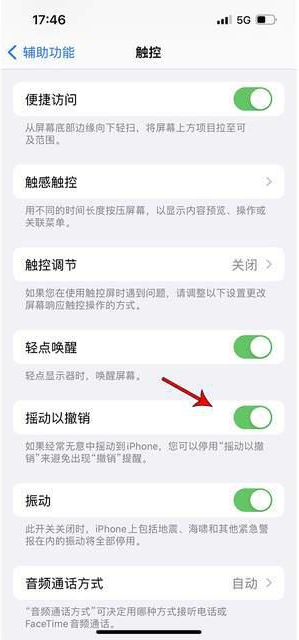 浮山苹果手机维修分享iPhone手机如何设置摇一摇删除文字 